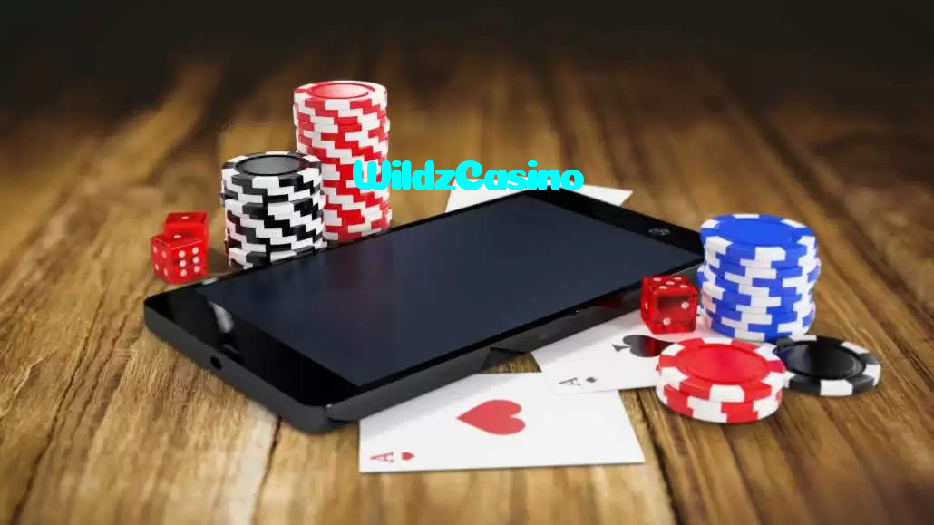 available types of WildzCasino bet including pre-match live express and system bets