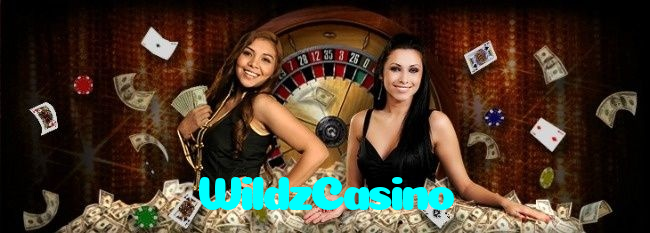 available types of WildzCasino bet including pre-match live express and system bets